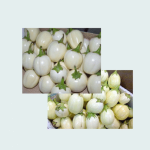 Image of fresh garden eggs