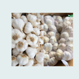 Image of garlic